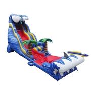 Shark Sighted Double Drop Water Slide Shark Sighted Double Drop Water Slide