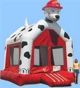 Dalmatian Dalmatian
