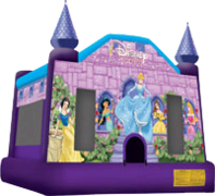 Disney Princesses Jumper Disney Princesses Jumper